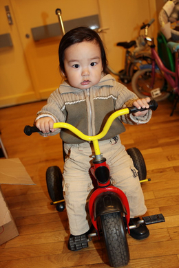 IMG_8833_Gr____enver__nderung.JPG