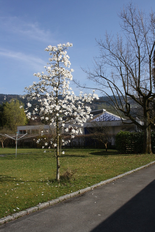Fr__hling _28_.JPG