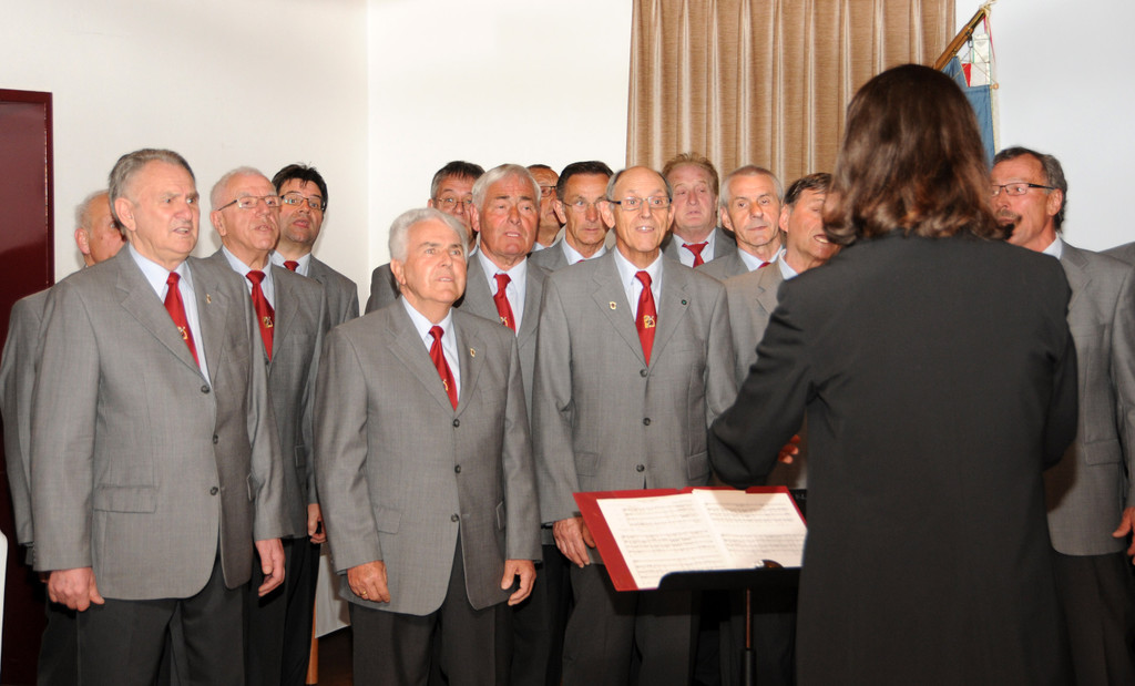 MGV Ho__chst 03-2014 12.jpg