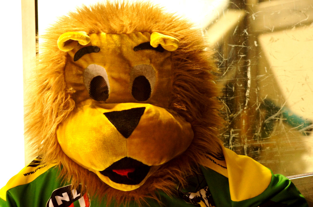 05 Leo_ das Maskottchen des EHC Paloro Lustenau.JPG