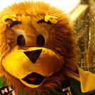 05 Leo_ das Maskottchen des EHC Paloro Lustenau.JPG
