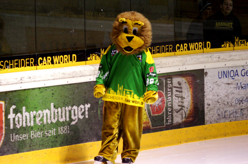 07 Der L__we Leo dreht einsam seine Runden.JPG