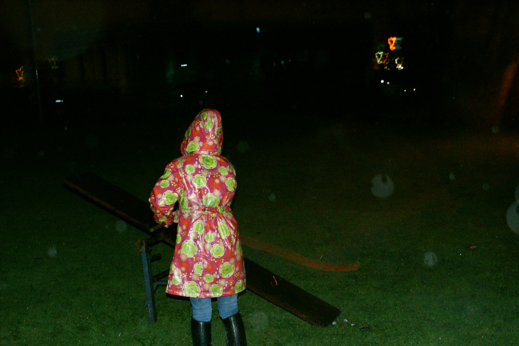261.JPG