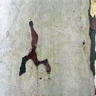 Monlucon Nikolaus Walter 2014.jpg