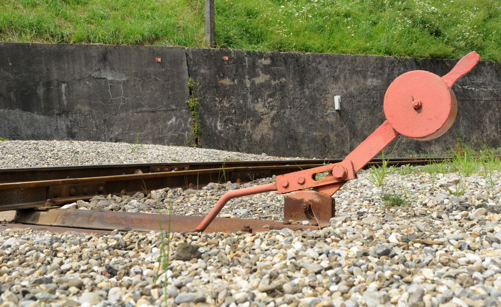 Dammerle 06_08_2011 72.jpg