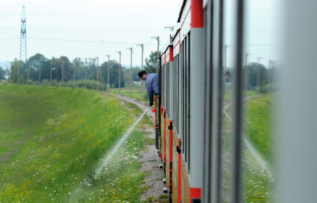 Dammerle 06_08_2011 81.jpg