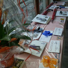 20140313_163200_resizedA.jpg