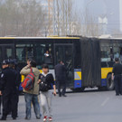 IBD0230-20140325.jpg