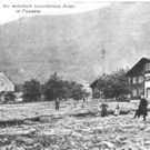 vandans01_003.jpg