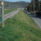 M__rz 25 014.JPG