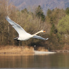 k-IMG_2115.jpg