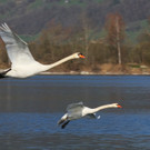k-IMG_2118.jpg