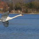 k-IMG_2120.jpg