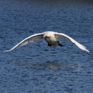 k-IMG_2231.jpg