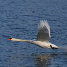 k-IMG_2286.jpg