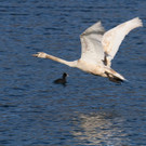 k-IMG_2301.jpg