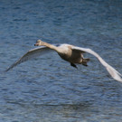 k-IMG_2383.jpg