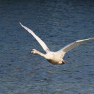 k-IMG_2385.jpg