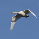 k-IMG_2410.jpg