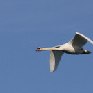 k-IMG_2416.jpg