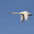 k-IMG_2422.jpg