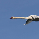 k-IMG_2423.jpg
