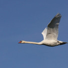 k-IMG_2424.jpg
