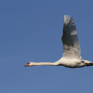 k-IMG_2427.jpg