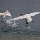 k-IMG_3690.jpg