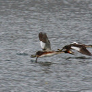 k-IMG_3711.jpg