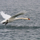 k-IMG_3869.jpg