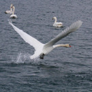 k-IMG_4017.jpg