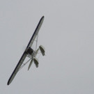 k-IMG_4283.jpg