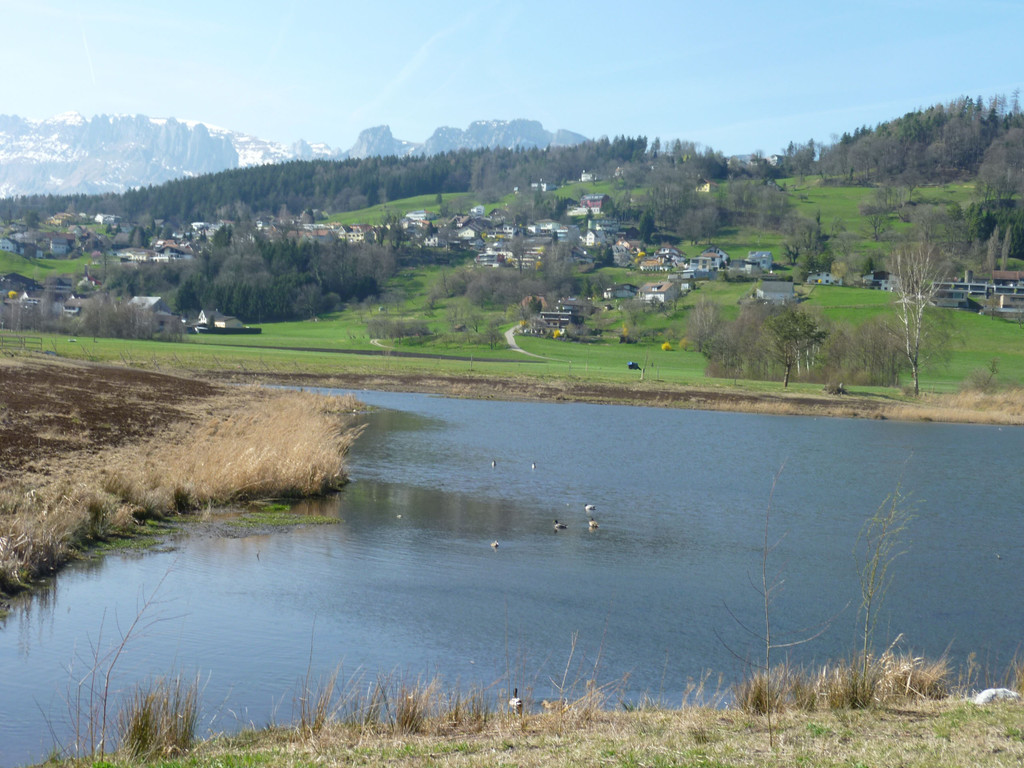 Bild3.jpg