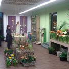 DSC001611_JPG-1270978388