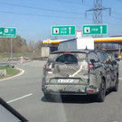 ef3.JPG