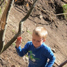 IMG_6544.jpg