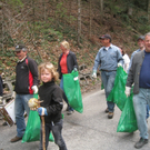 Landschaftsreinigung Lochau 2010 _3__jpg-1270984698
