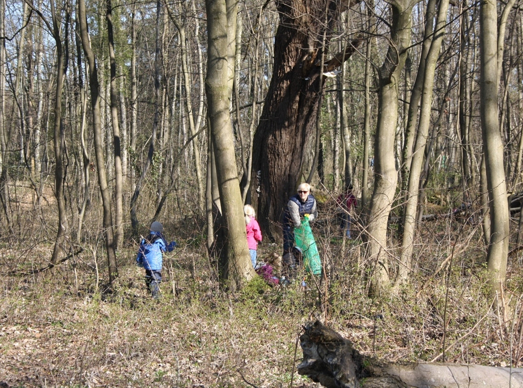 Landschaftsreinigung Berg und See 2014 _20_.JPG