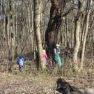 Landschaftsreinigung Berg und See 2014 _20_.JPG