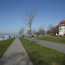 Landschaftsreinigung Berg und See 2014 _24_.JPG