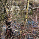 IMG_6832.JPG