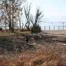 IMG_6839.JPG