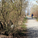 IMG_6841.JPG