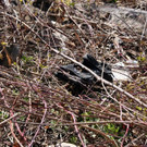 IMG_6849.JPG