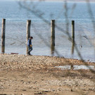 IMG_6874.JPG
