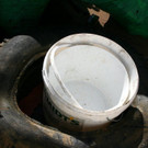 IMG_6889.JPG