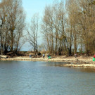 IMG_6902.JPG
