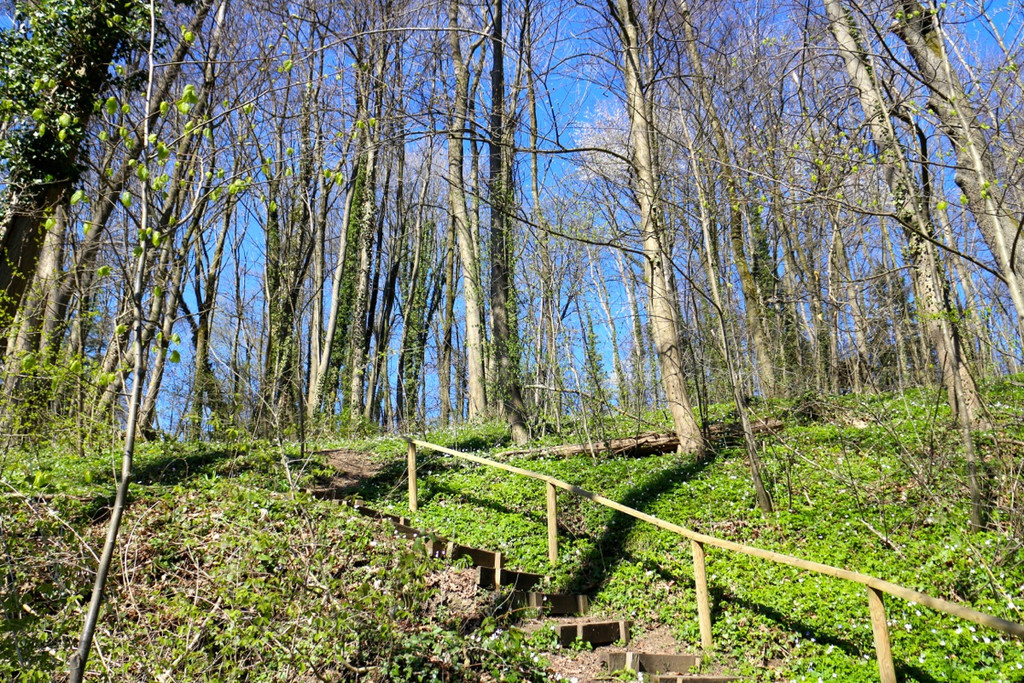KOE_Wandertipp Margarethenkapf 6.jpg