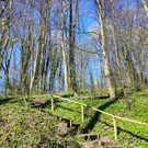 KOE_Wandertipp Margarethenkapf 6.jpg